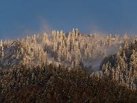 Wolkenfetzen tanzen im Abendlicht um frisch verschneiten Bergwald